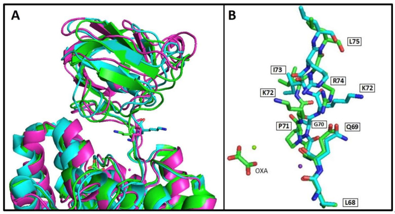 Figure 9