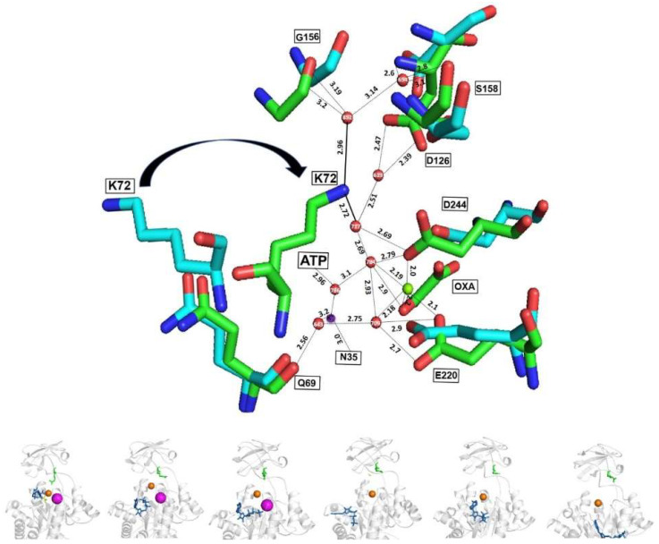 Figure 11