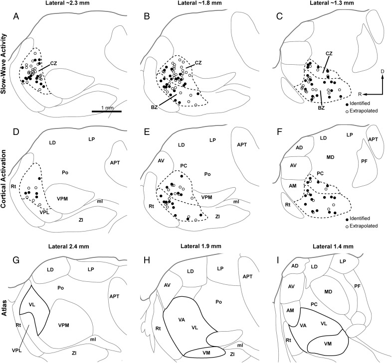 Figure 2.