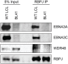 Fig 5