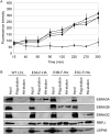 Fig 10