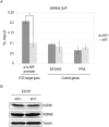 Fig 12