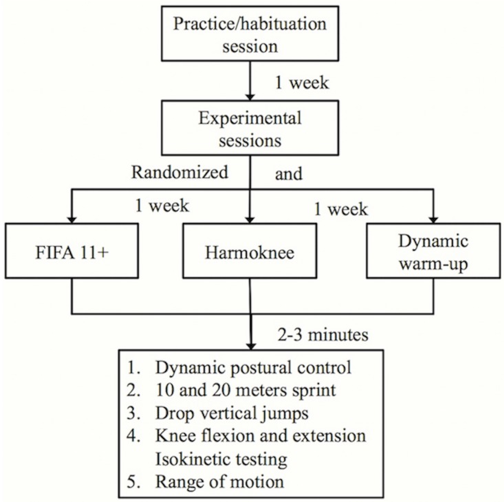 Fig 1