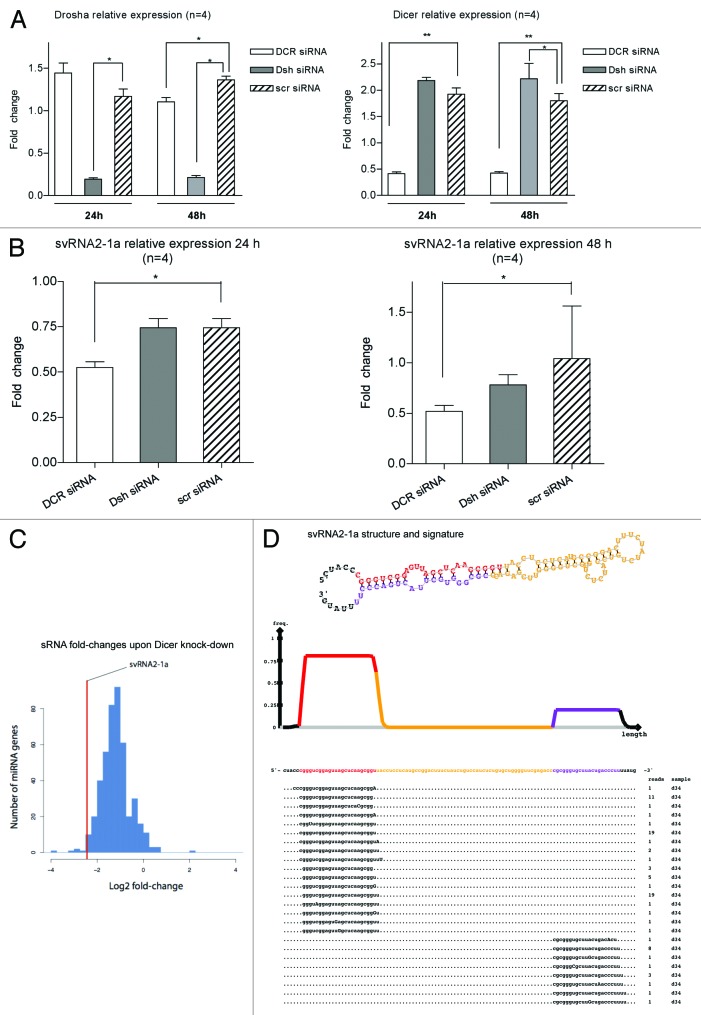 graphic file with name rna-10-1093-g3.jpg