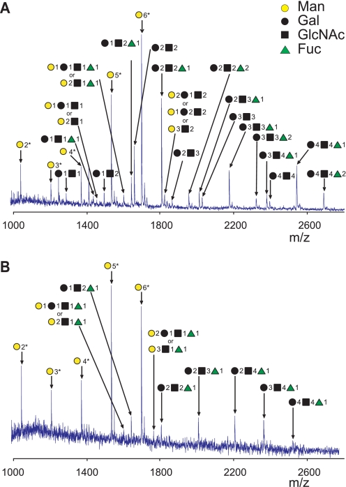 FIGURE 4.