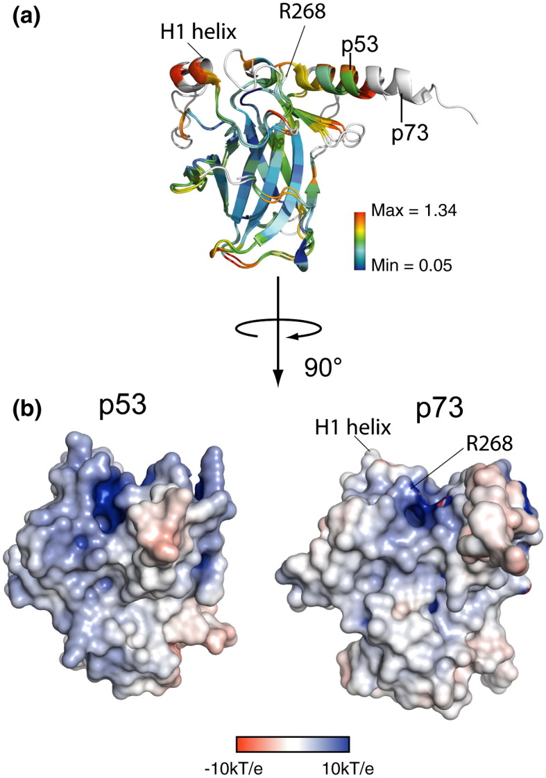 Fig. 2