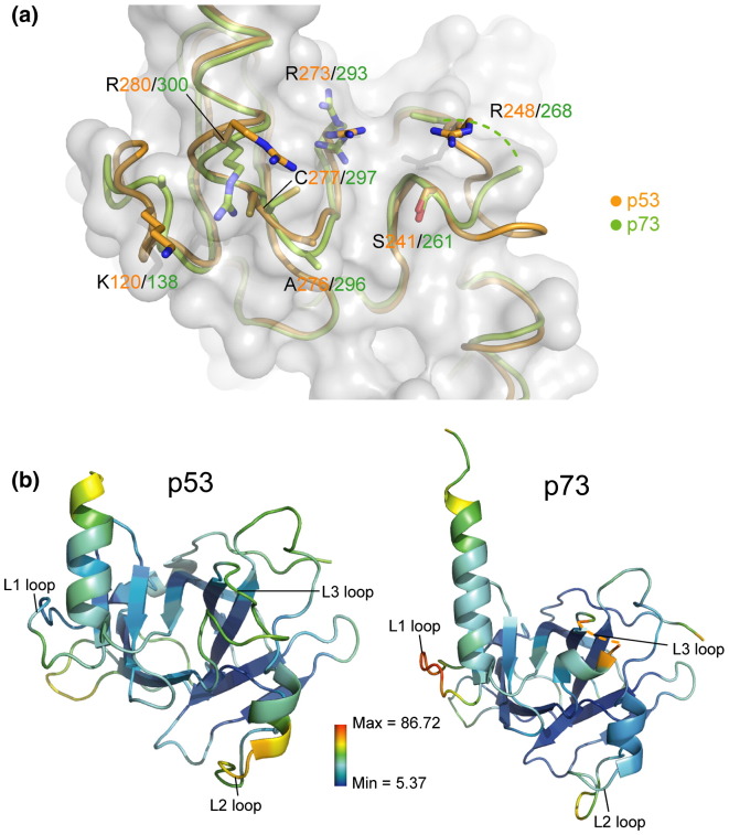 Fig. 3