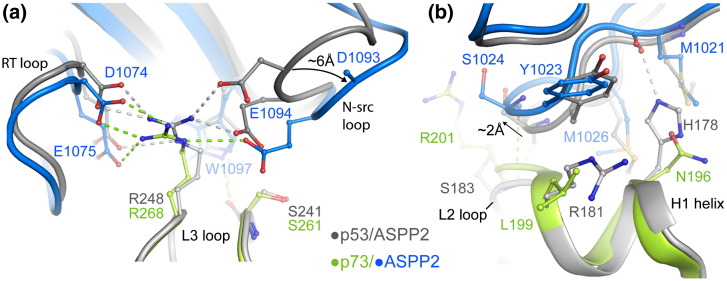 Fig. 7