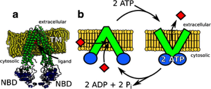 Fig. 1