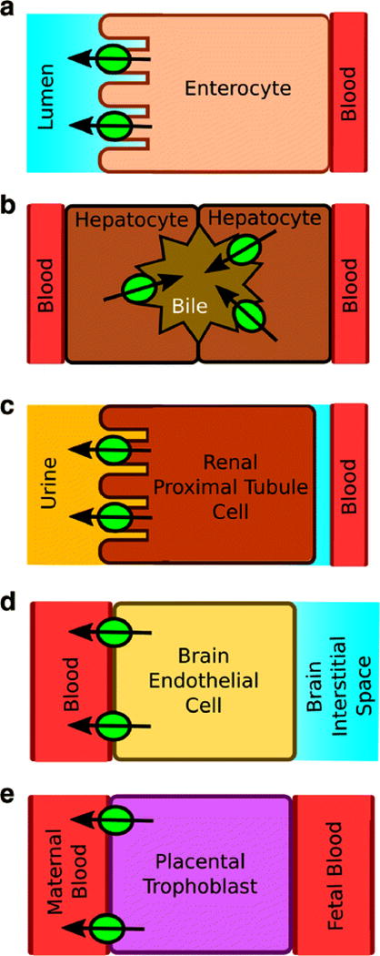 Fig. 2