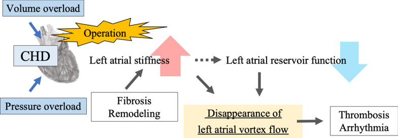 Fig. 3