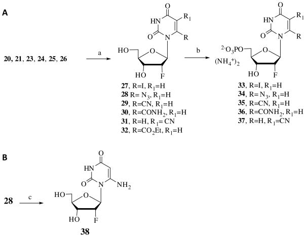 Scheme 2