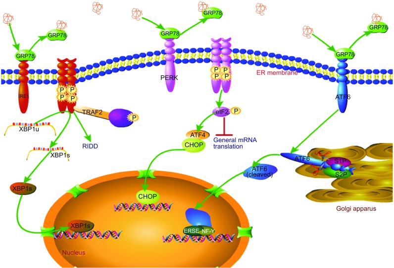 Figure 3