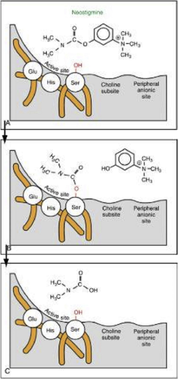 Fig. 4