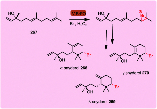 Scheme 11