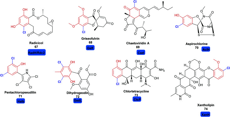 Fig. 7