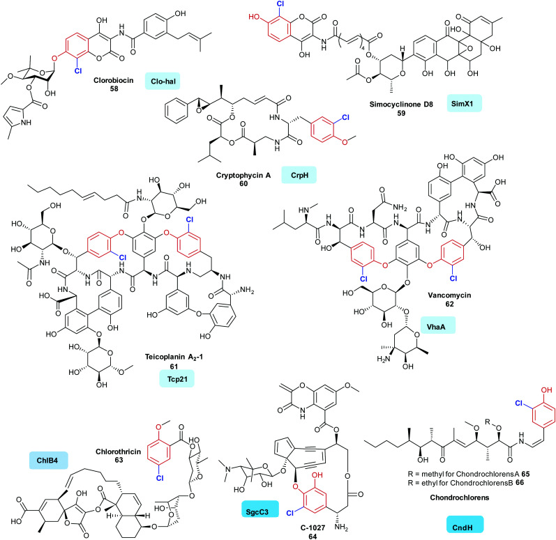 Fig. 6