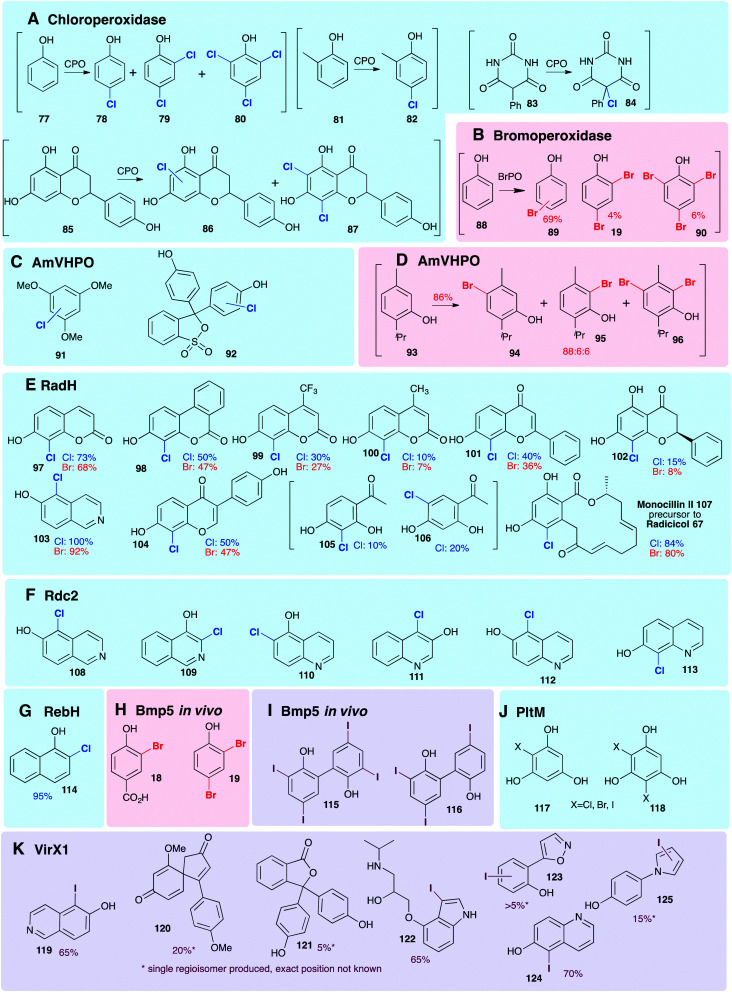 Fig. 8