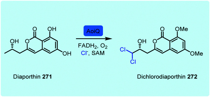 Scheme 12