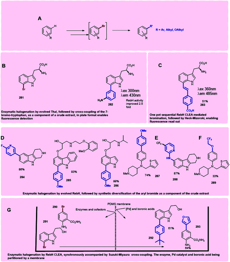 Scheme 14