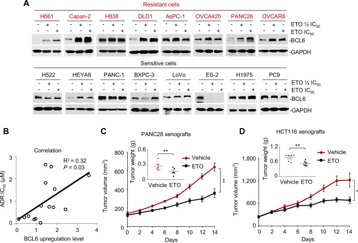 Figure 2—figure supplement 1.