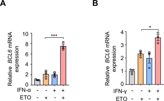 Figure 4—figure supplement 1.