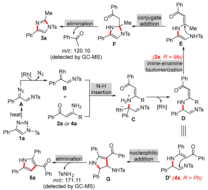 Scheme 6
