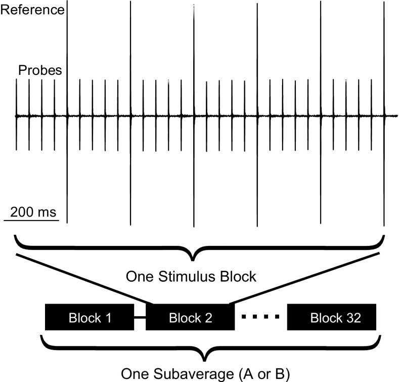 FIG. 1