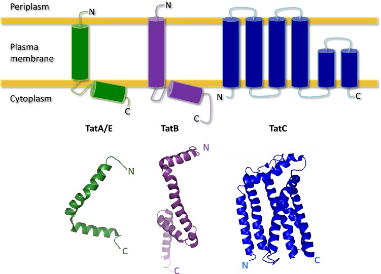 Fig. 3