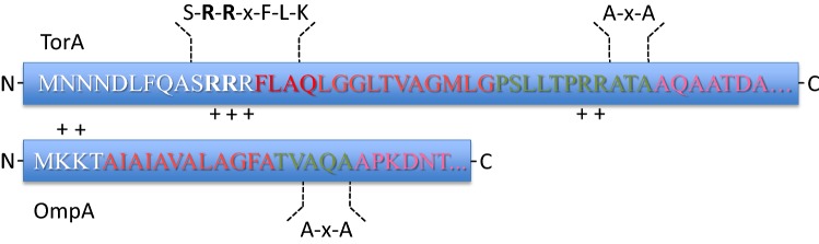 Fig. 2