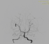 Figure 13.