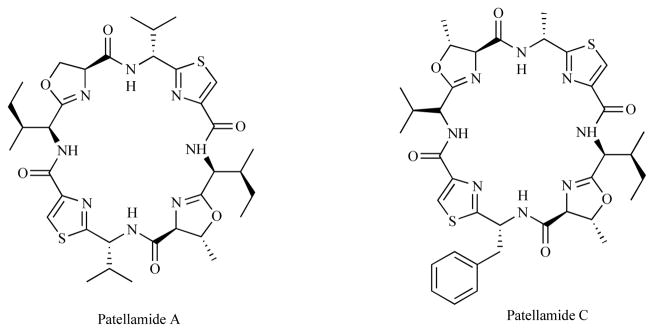 Fig. (2)