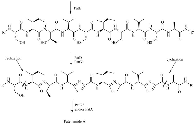 Scheme 1