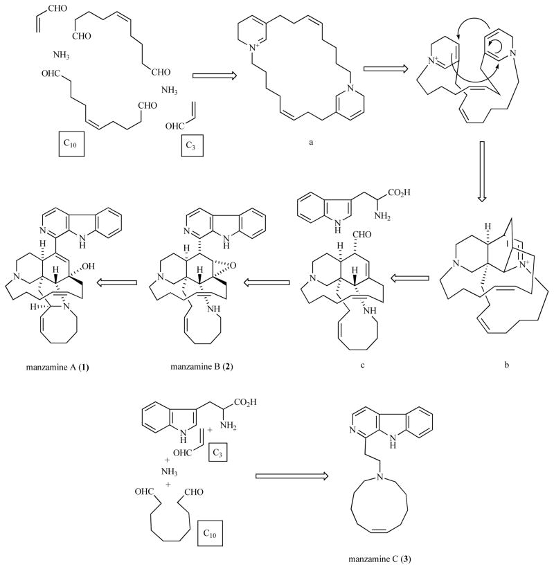 Scheme 2