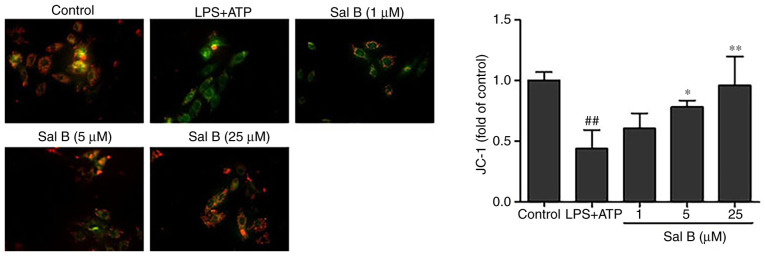 Figure 7.