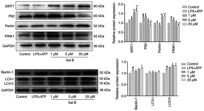 Figure 5.