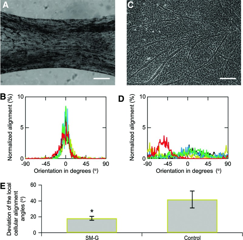 FIG. 4.