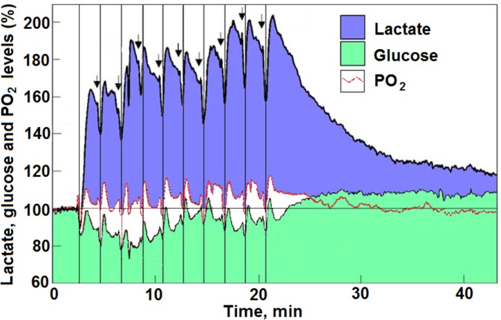 FIGURE 3