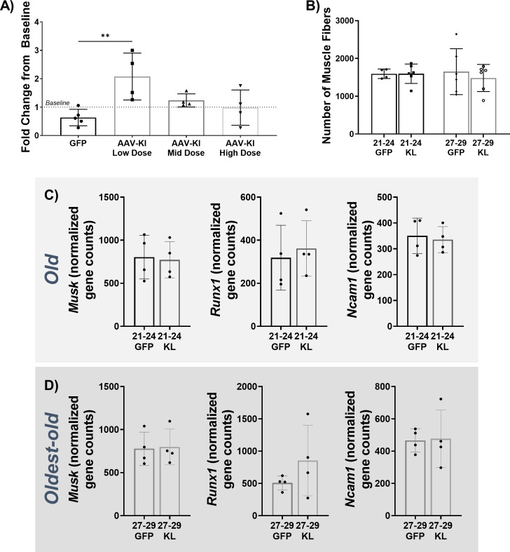 Figure 6—figure supplement 1.