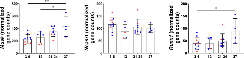 Figure 1—figure supplement 2.