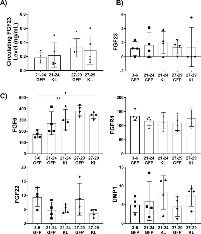 Figure 7—figure supplement 1.