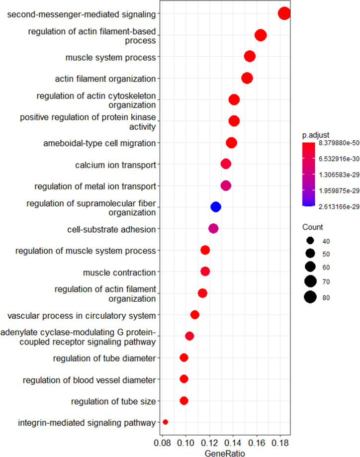 Figure 7—figure supplement 2.