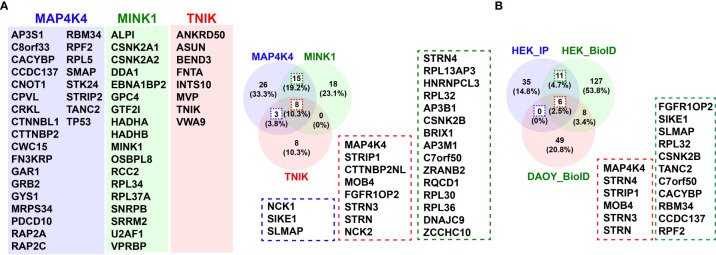 Figure 4