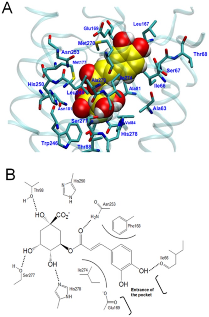 Figure 12