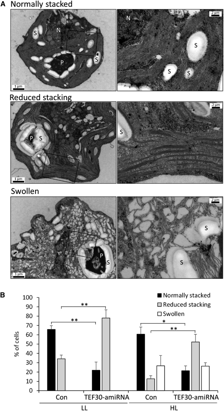 Figure 11.