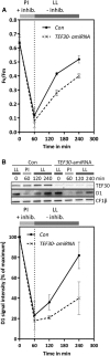Figure 9.