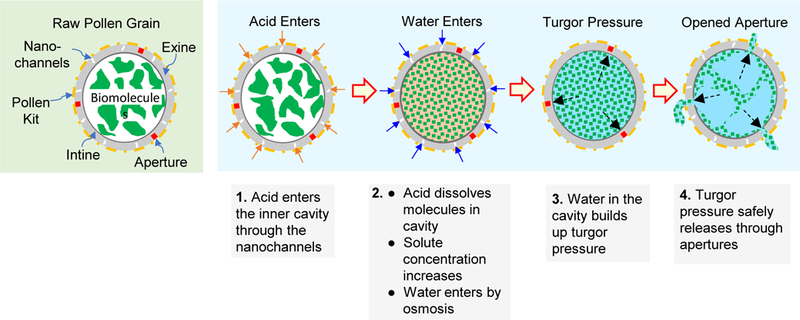 Figure 10.