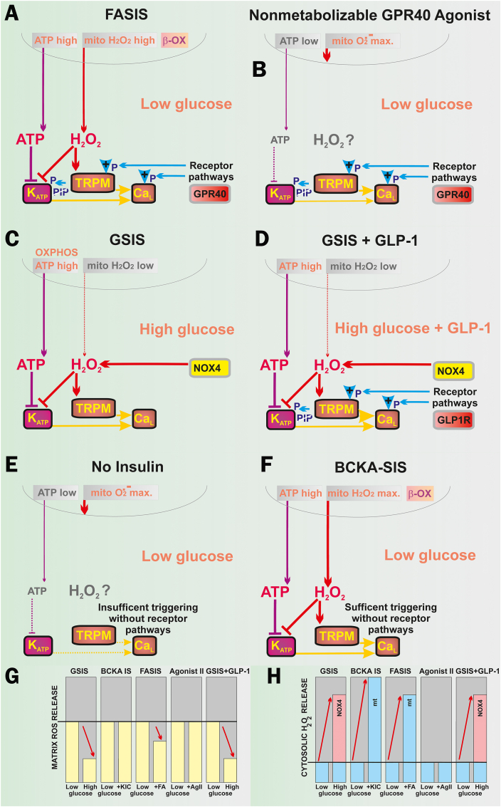 Fig. 10