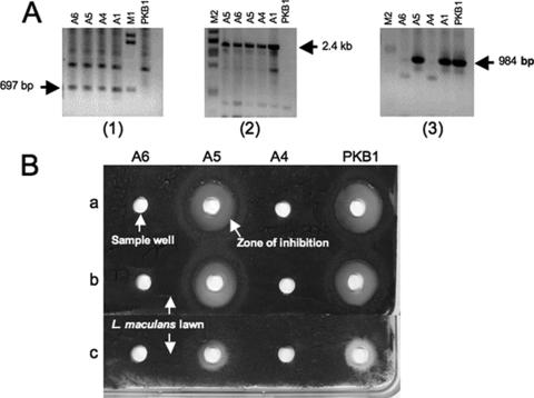 FIG. 4.