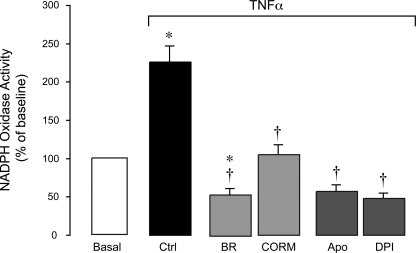 Fig. 11.